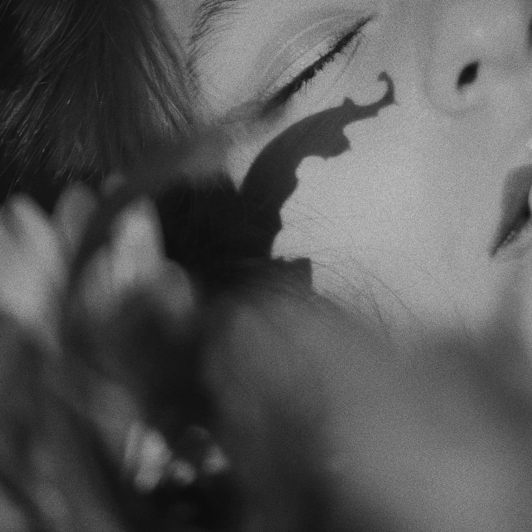 an ayurvedic perspective on ageing