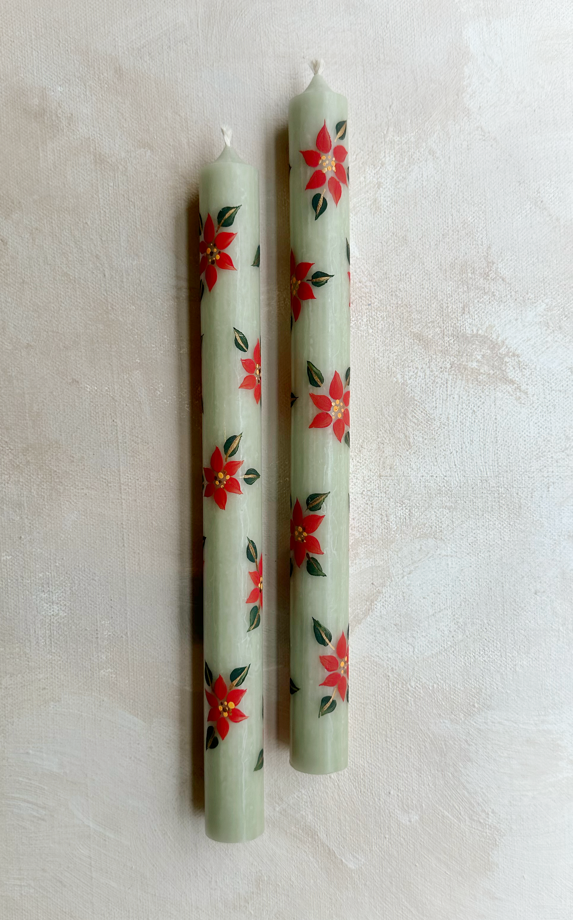 Poinsettia Sagess.PNG