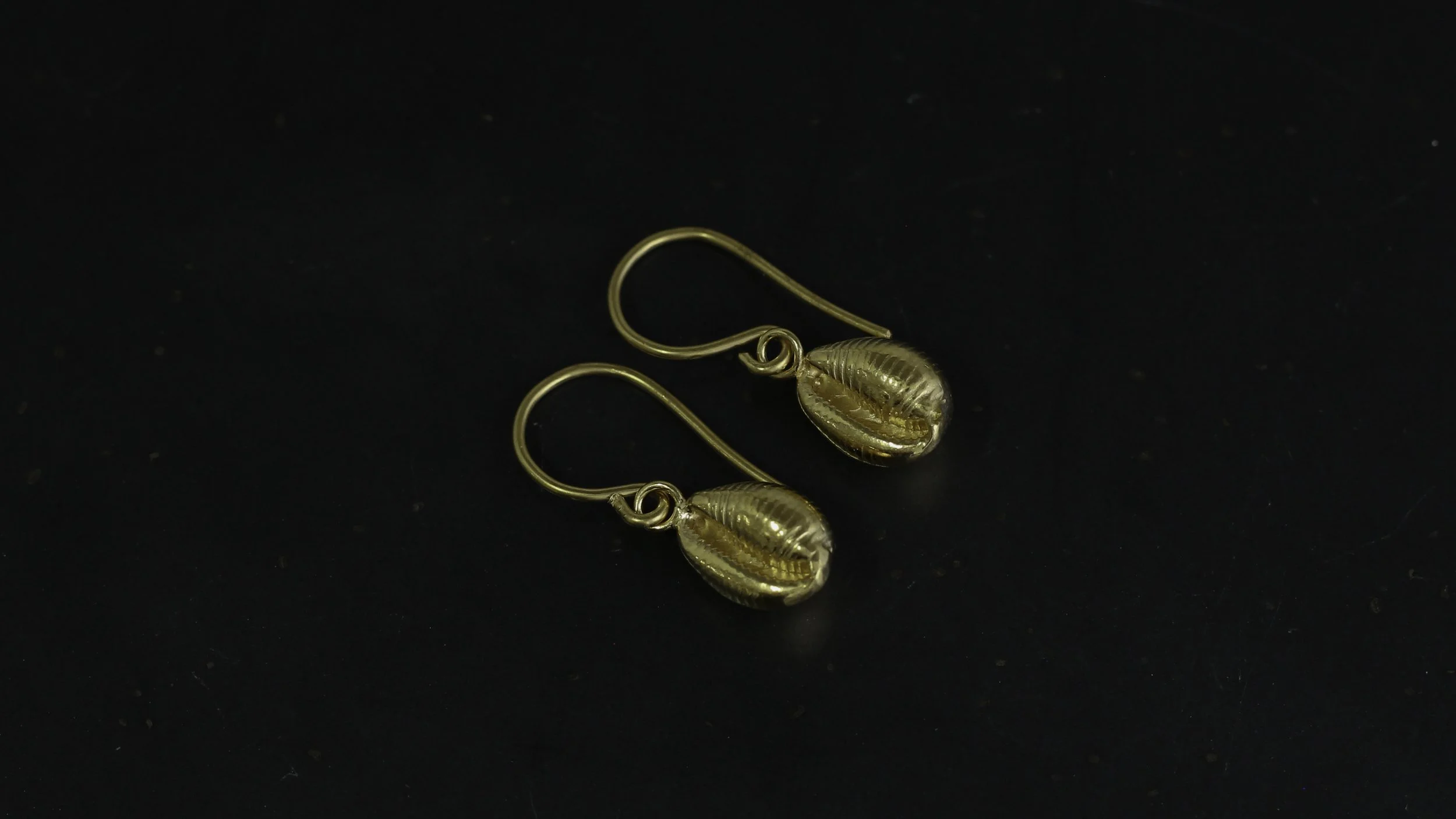 300 gv cowrie front facing.jpg