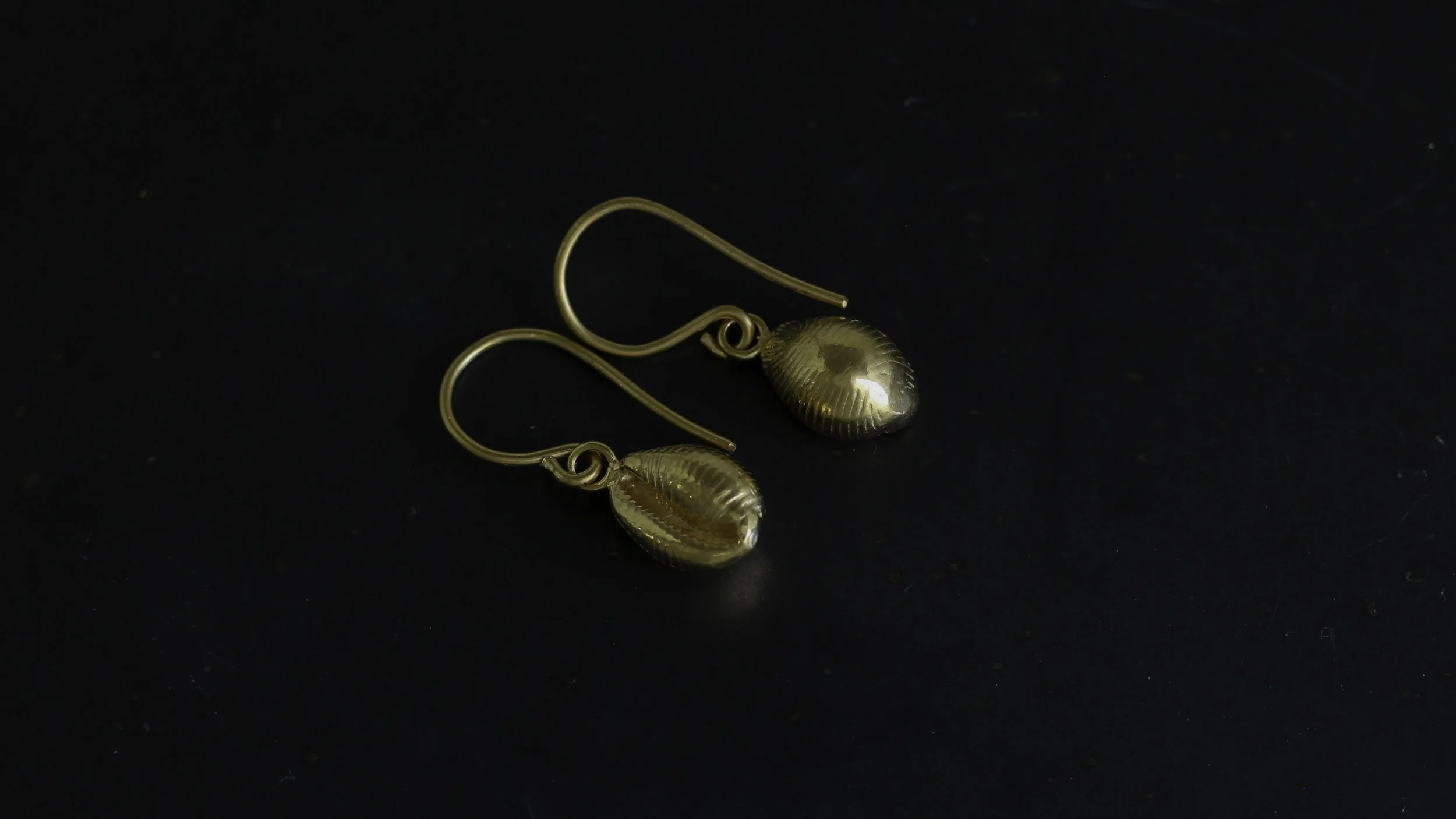 300 gv cowrie earring.jpg
