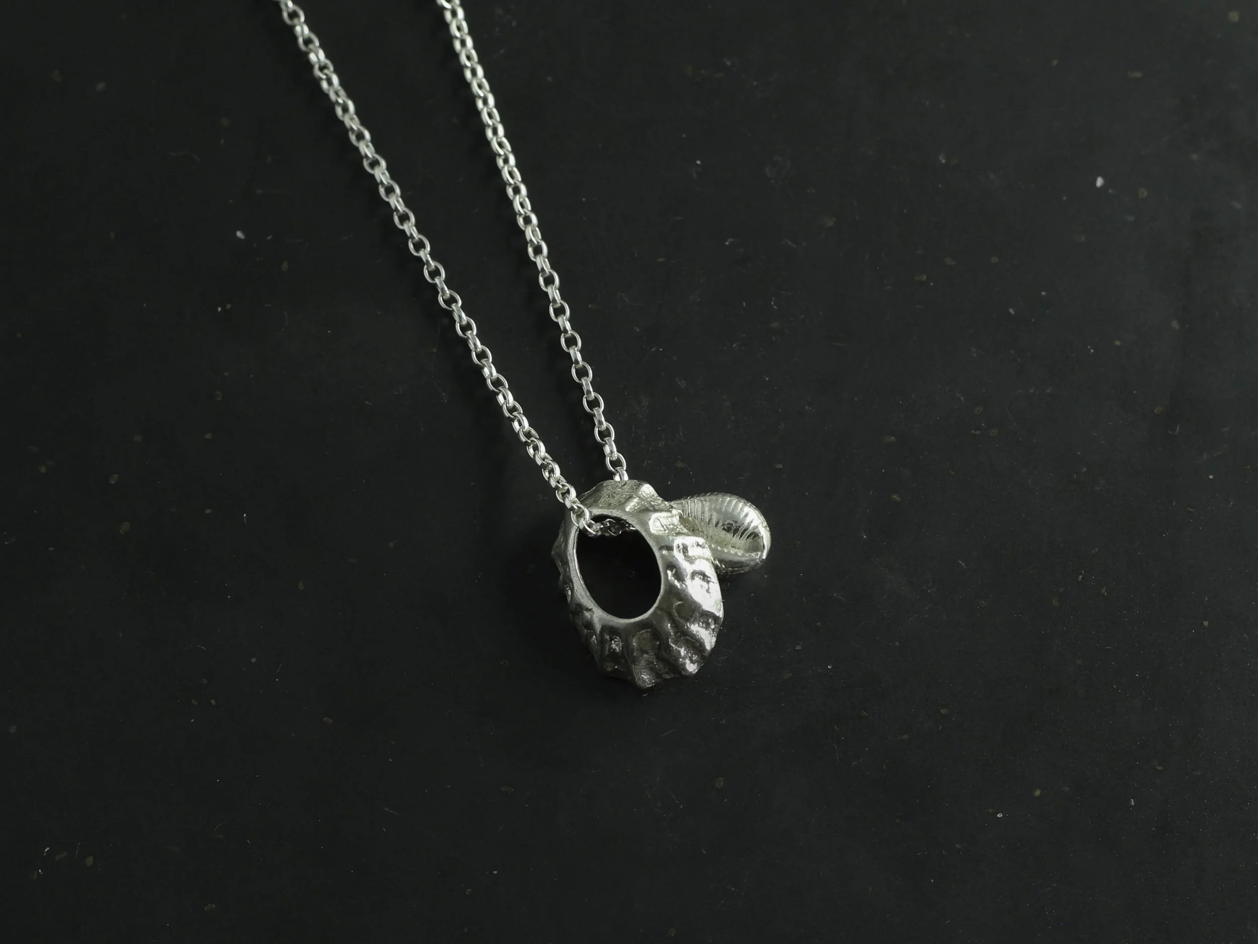 300 sea shell silver necklace .jpg