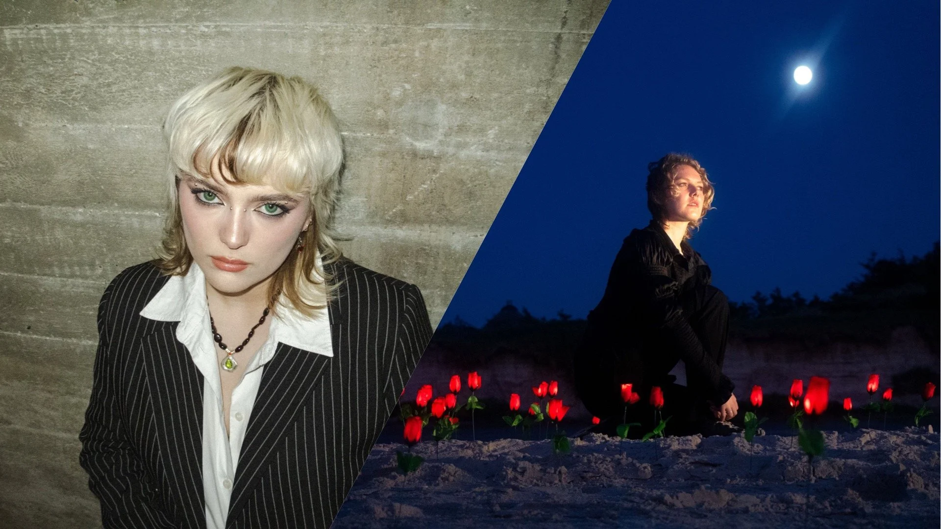 KONCERT I KULISSEN // AGNES HARTWICH // NEMO