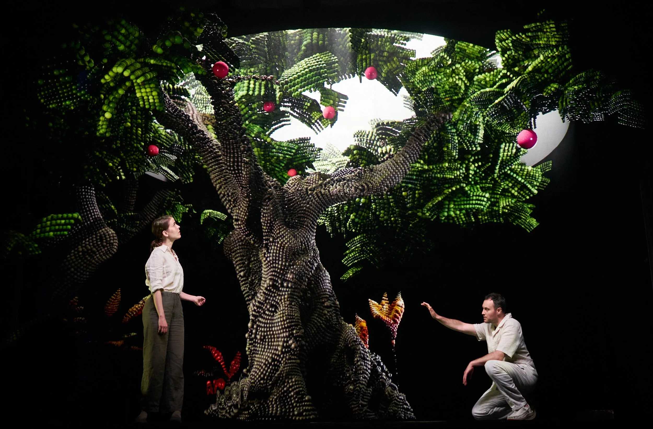 P4RADIS 2.0 (P4RADISE 2.0)