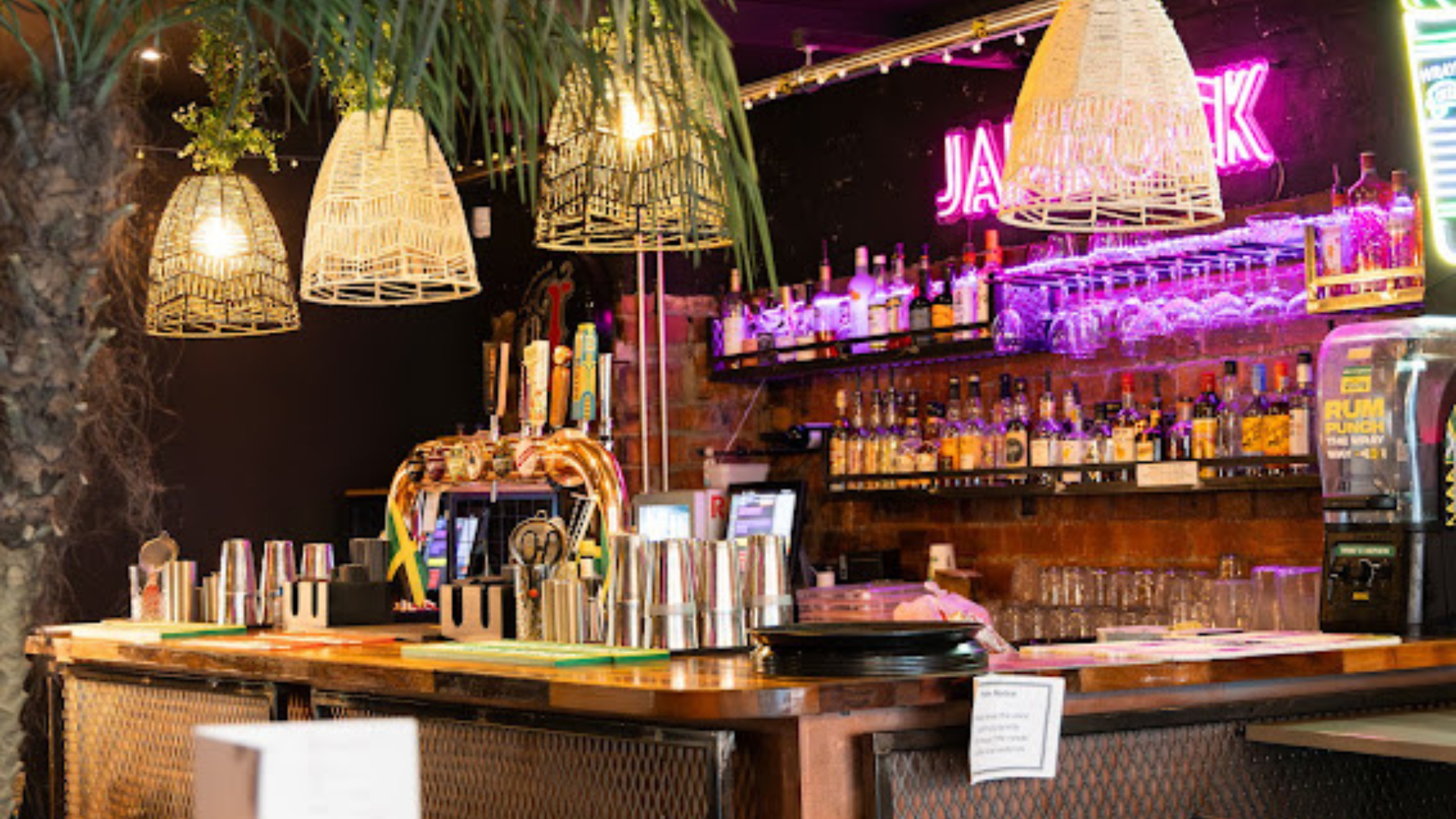 Hire the JAMROCK team for your special occasion