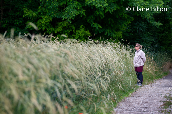 © Claire Billon (6).png