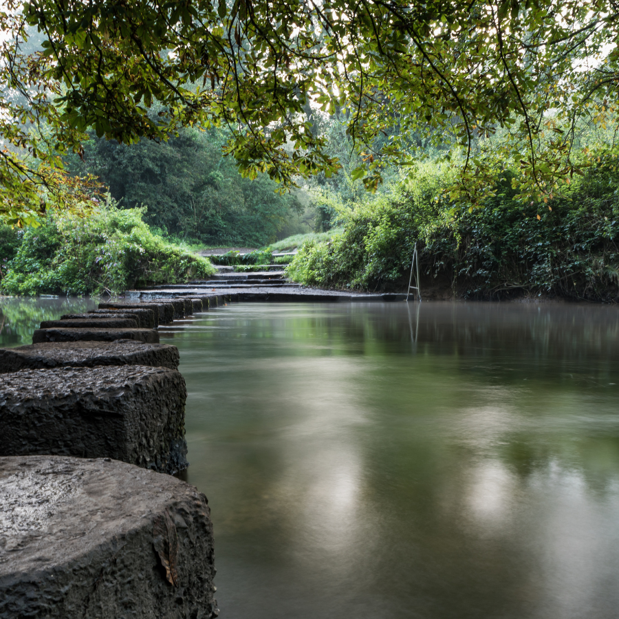 Green Elmbridge Newsletter August 2026 