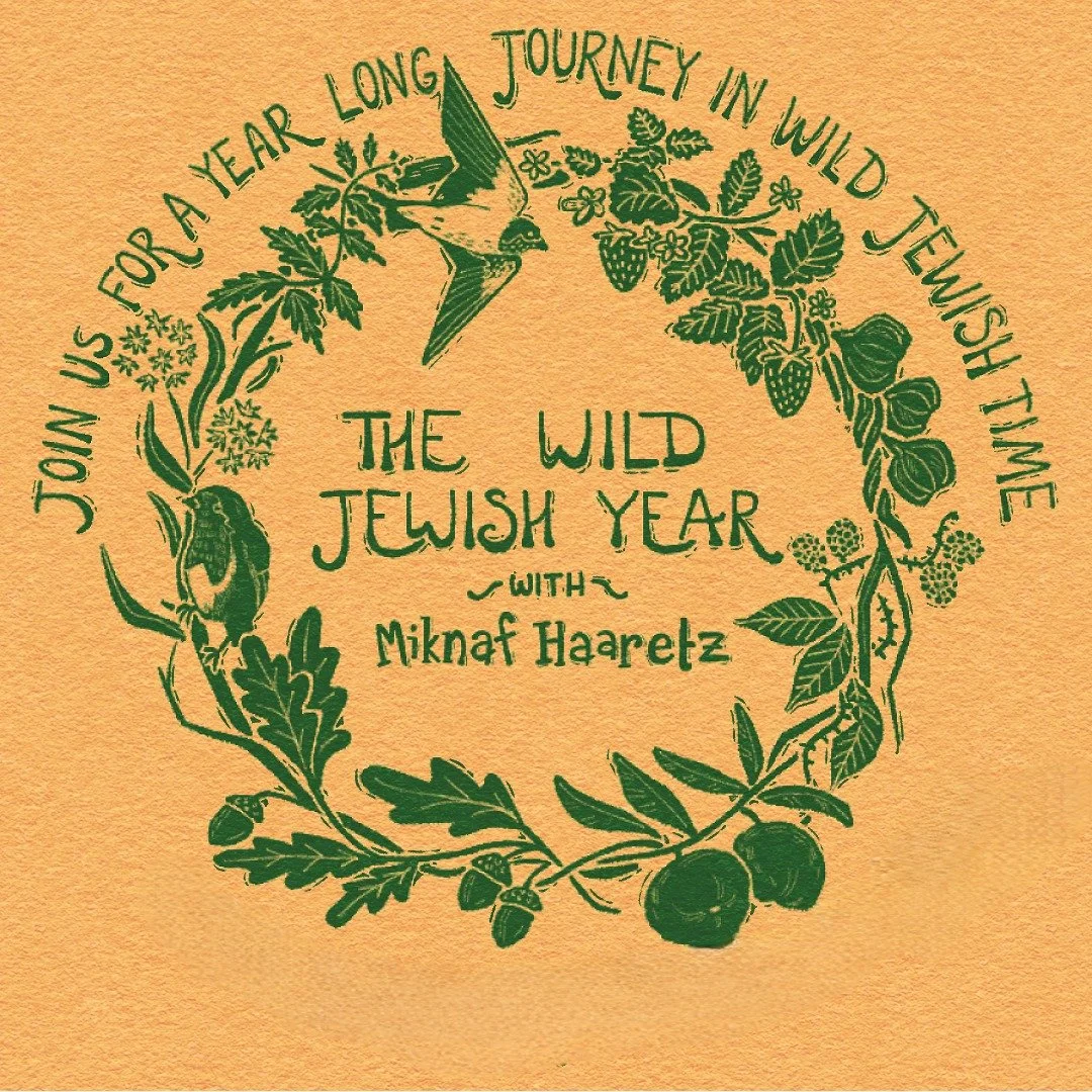 The Wild Jewish Year 2025-6