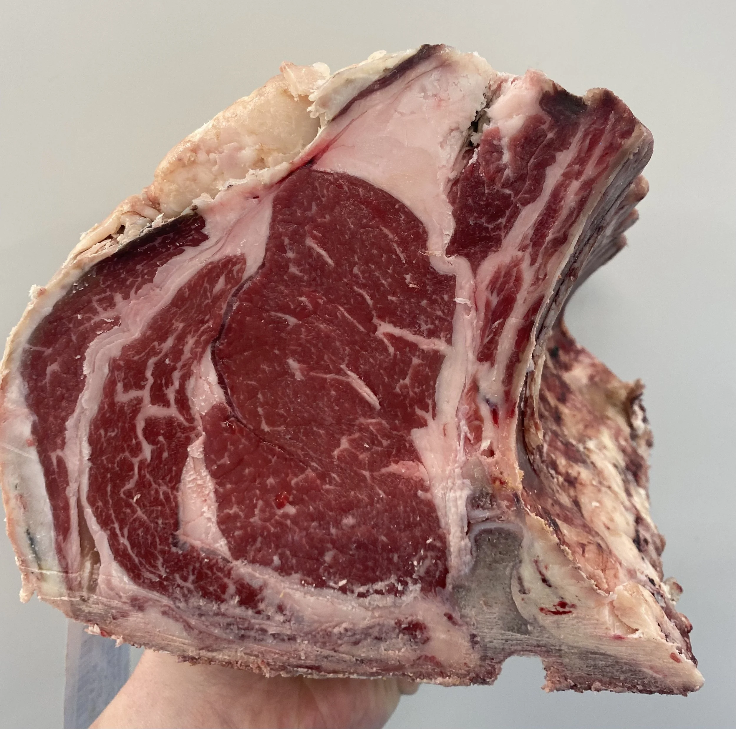 Traditional Rib.jpeg