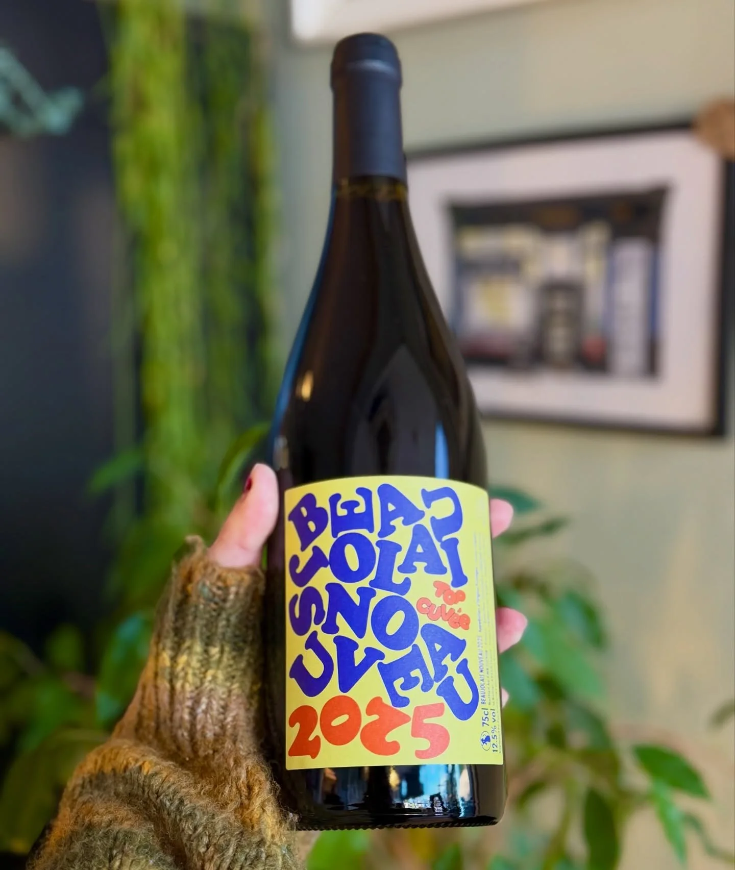 Tomorrow is the third Thursday of November, which can only mean one thing - new stock of Beaujolais Nouveau 2025! This is a young juicy red that is ready for consumption shortly after harvest with a light fruity flavour. On sale in the shop from tomo