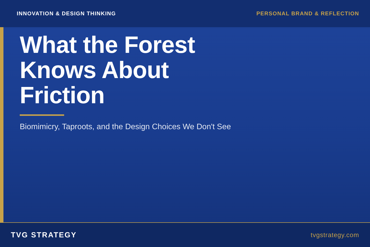What the Forest Knows About Friction: Biomimicry, Taproots, and the Design Choices We Don't See