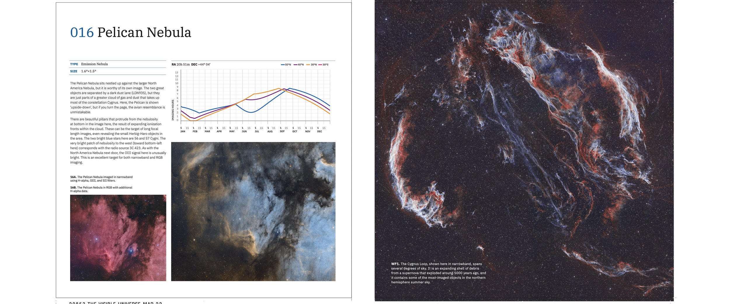 016 Pelican Nebula plus Cygnus Loop DPS anamorphic.jpg