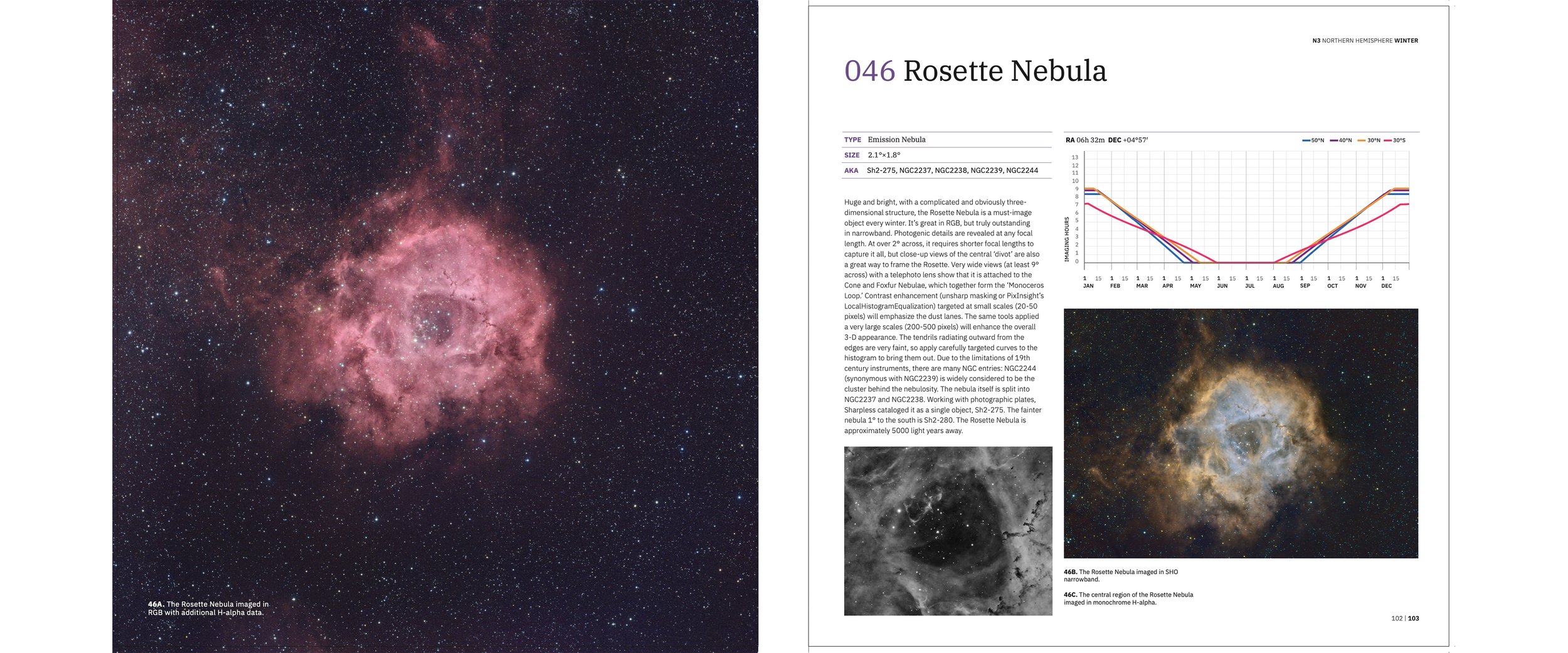 046 Rosette Nebula DPS anamorphic.jpg