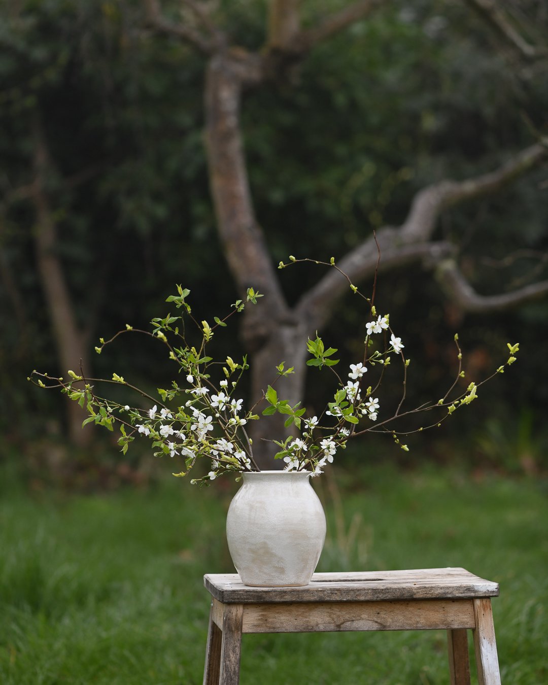 Snowfall Medium Oval Vase