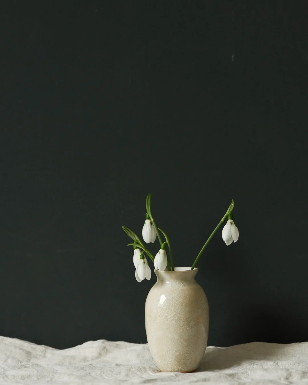 Today I cut the first flowers from the garden this year. This variety (Snow Fox) is an early snowdrop, so they&rsquo;re out while most of our others are little green shoots. Weirdly we&rsquo;ve had some hellebores since December and there have been a