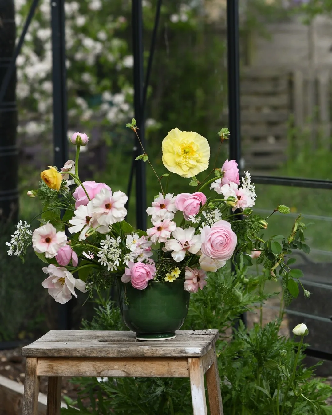 One of the porcelain pieces I&rsquo;ve made is this big bowl, which I glazed with the dark green glossy glaze. I collected the best of my cutting garden to fill it the other day - ranunculus, butterfly ranunculus, the first Iceland poppy and orlaya, 