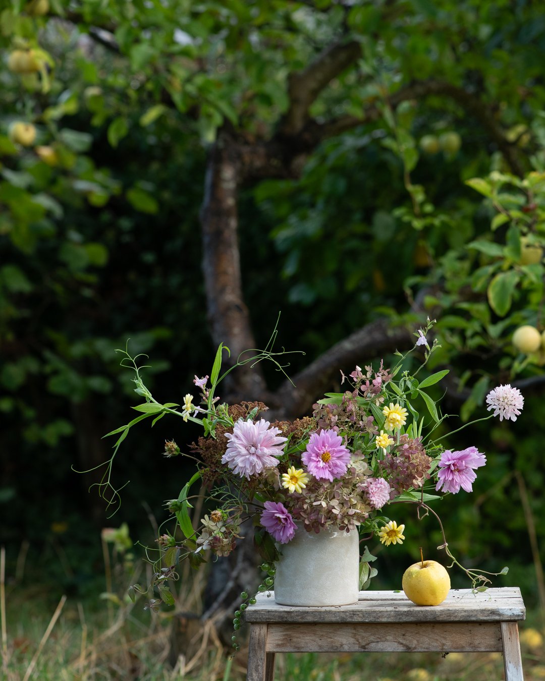 A bit of pink, pops of yellow and twisty bits of vine. 

This snowfall medium tapered vase will be part of my shop update on Thursday (22nd Oct) at 8pm BST - do sign up for my mailing list if you want to get the preview gallery to see everything that