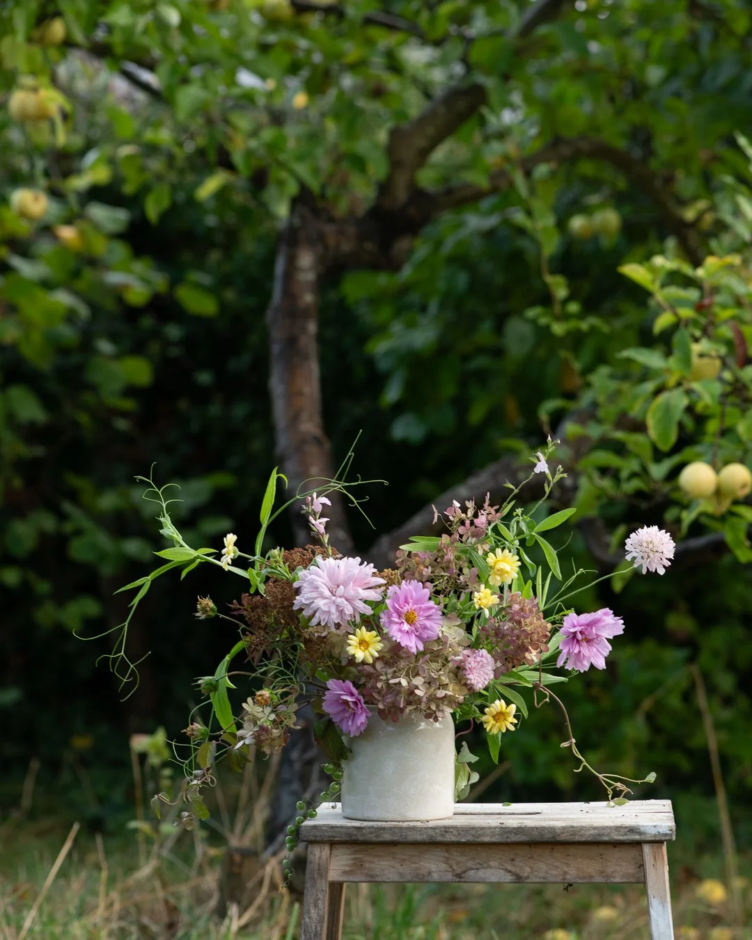 Snowfall Medium Tapered Vase I