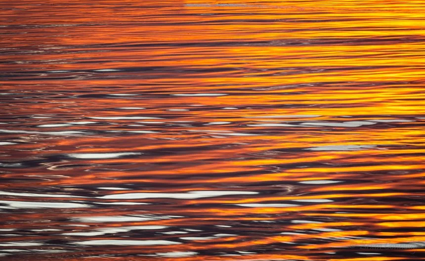 Golden Glow