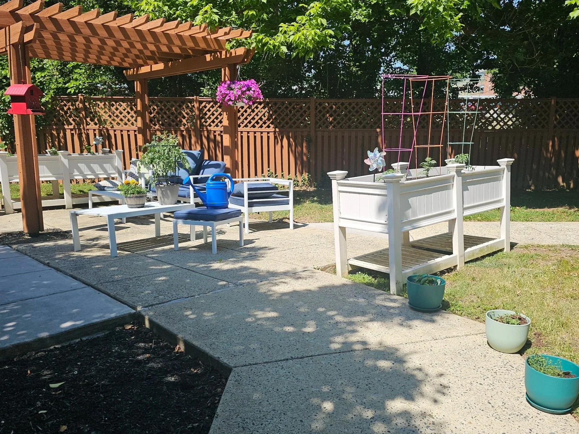 Rooted in Care: Building a Garden That’s Safe for Seniors