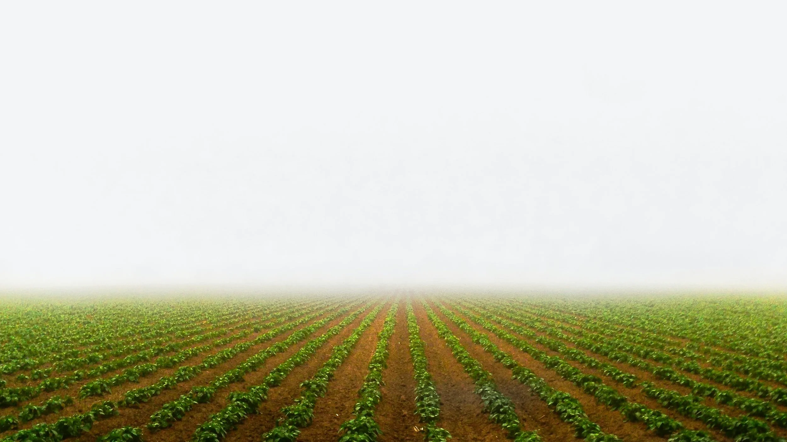 Soil carbon is a valuable resource, but all soil carbon is not created equal