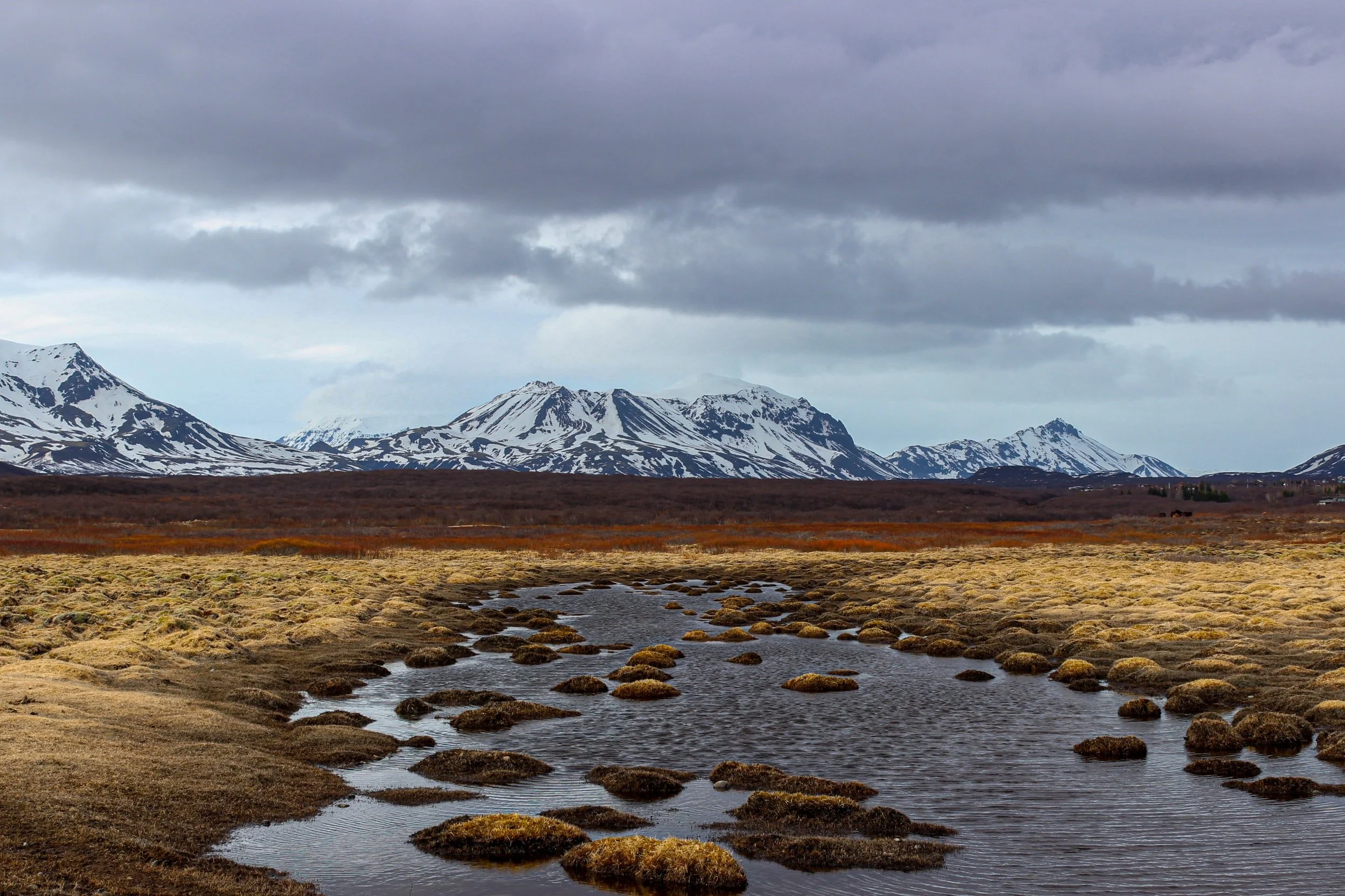 Arctic soils key to future climate