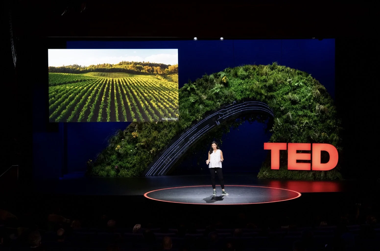 Why healthy soil matters now more than ever