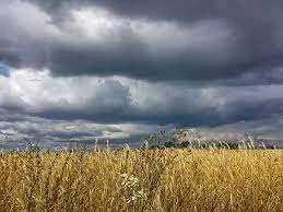 Can AI help to unravel complexity of climate, weather and land use and help us find solutions to climate change?