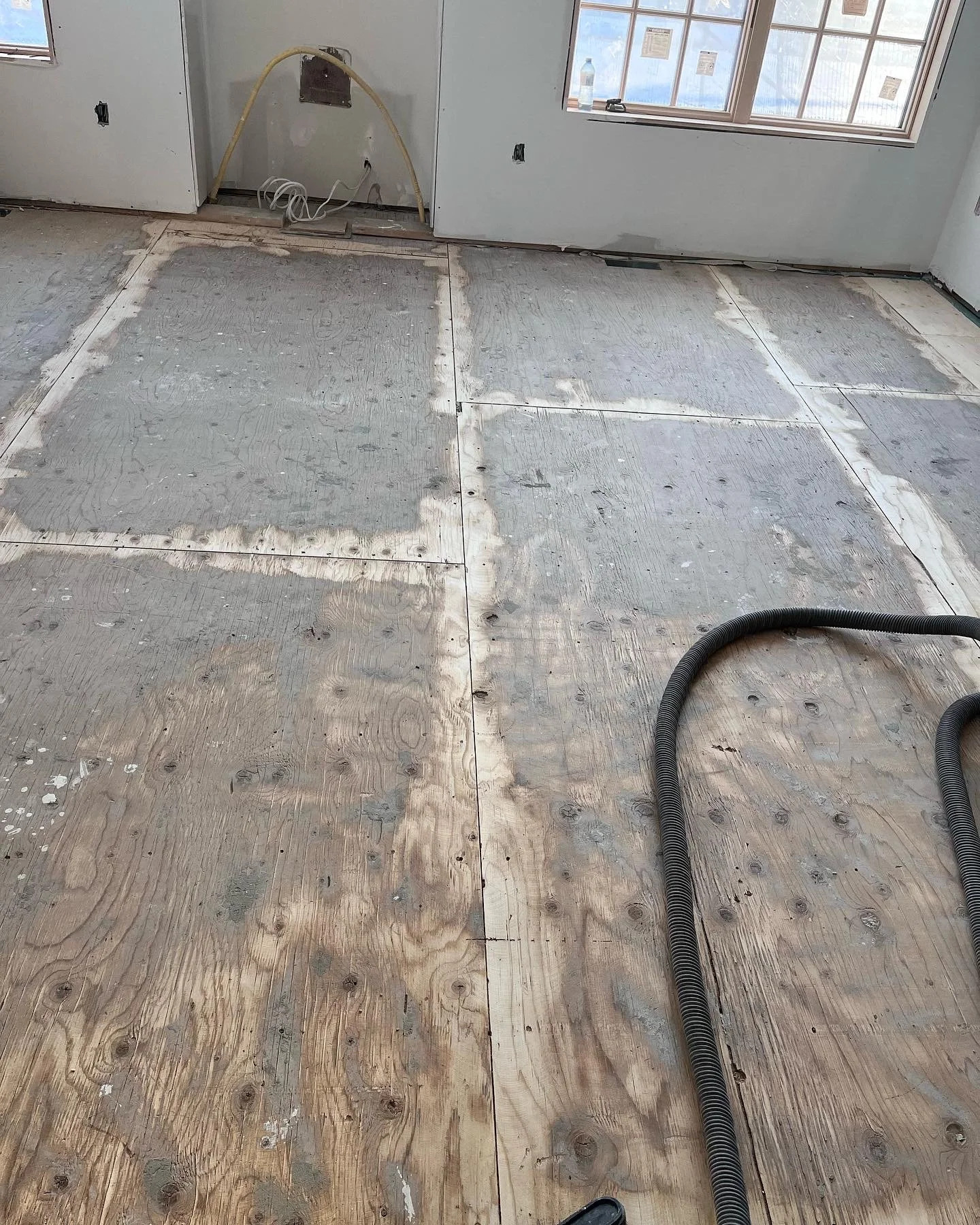 2022-02-23 17.13.38_1.jpeg