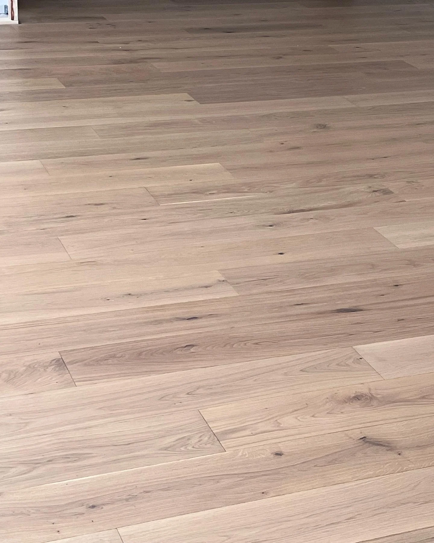 2022-01-25 10.59.34_10.jpeg