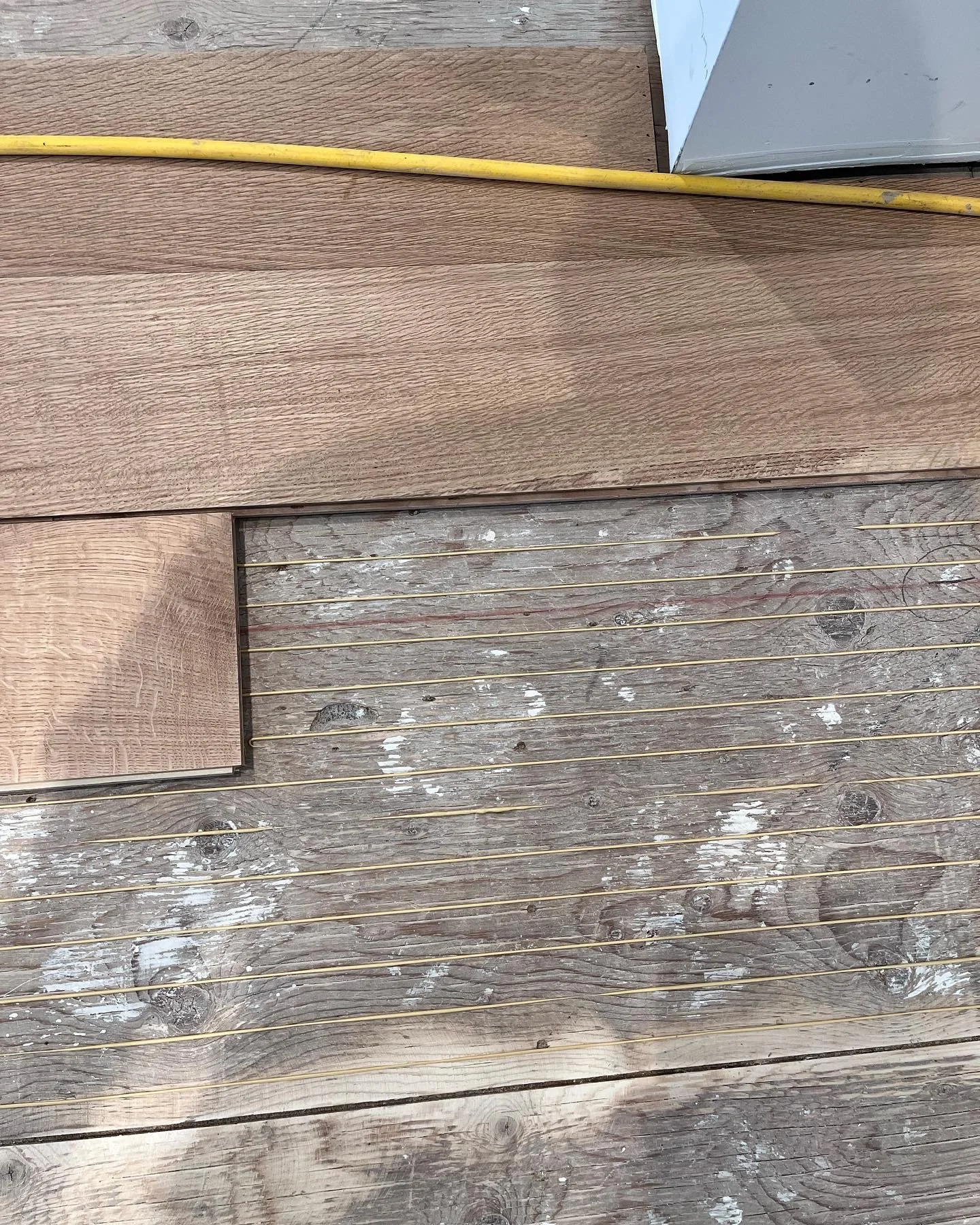 2022-02-22 11.39.33.jpeg