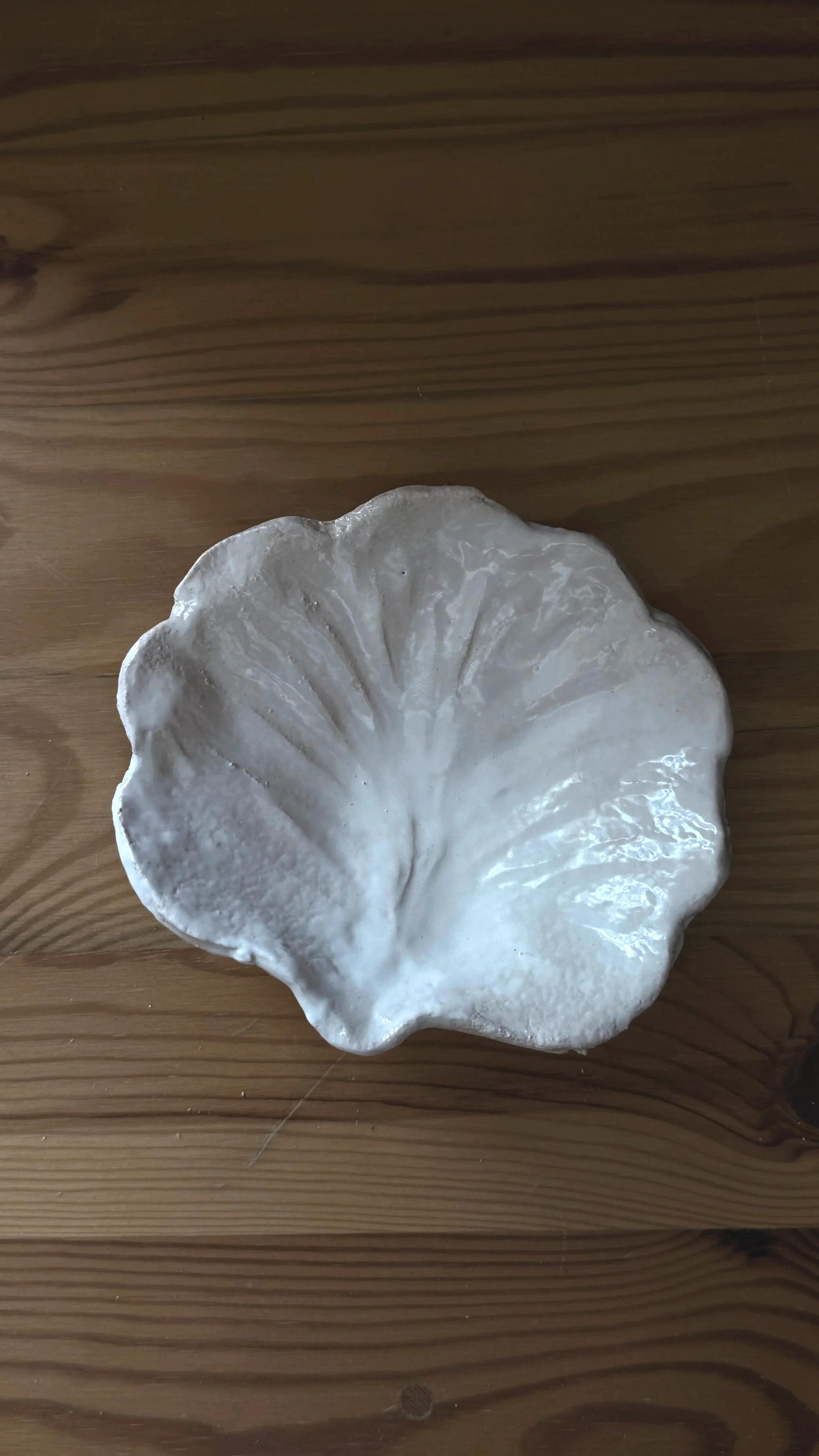 Shell small