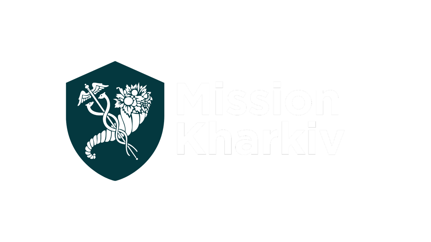 Mission Kharkiv