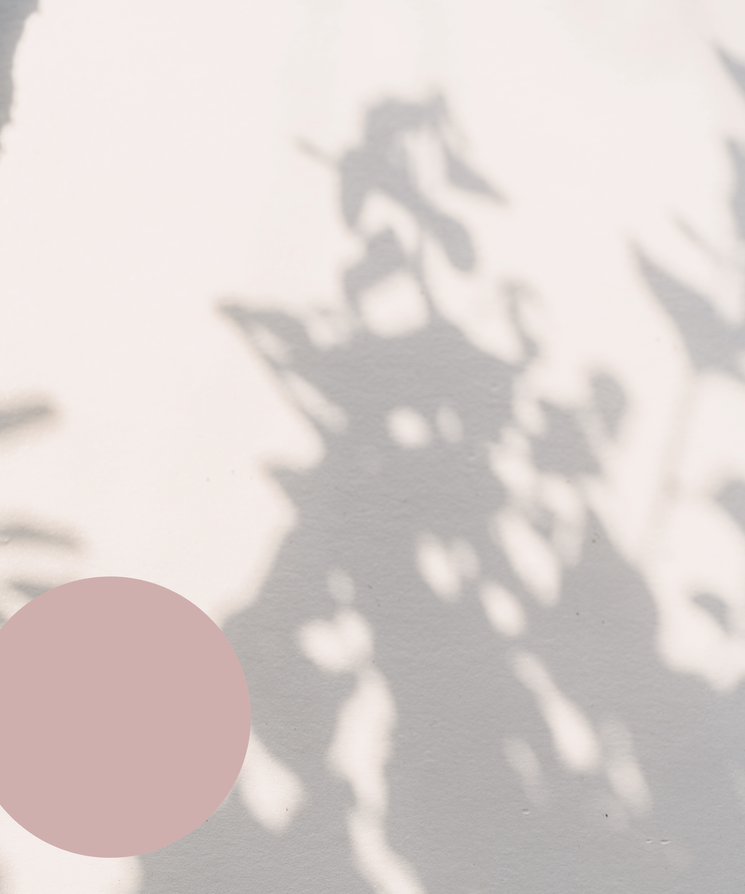 Virtual Sault Ste. Marie Clinic — BlossomCo Wellness Dr. Courtney ...