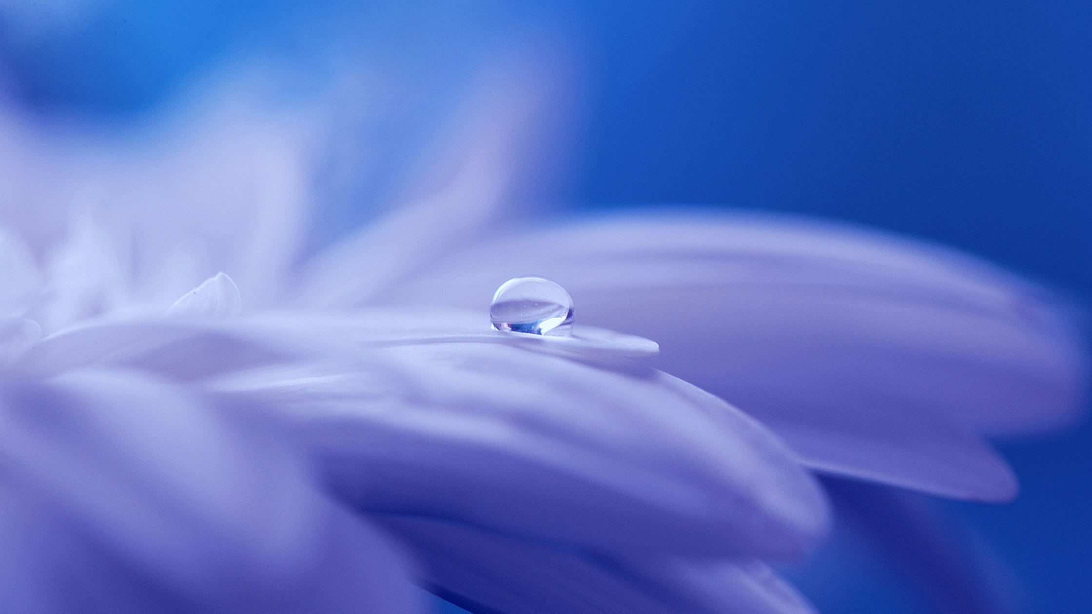 New Energy Meditation