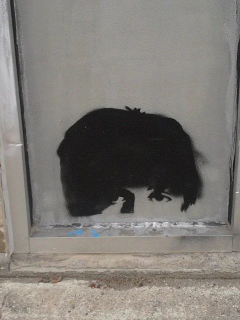 On A Sidewalk, Boston, 5/08/2012