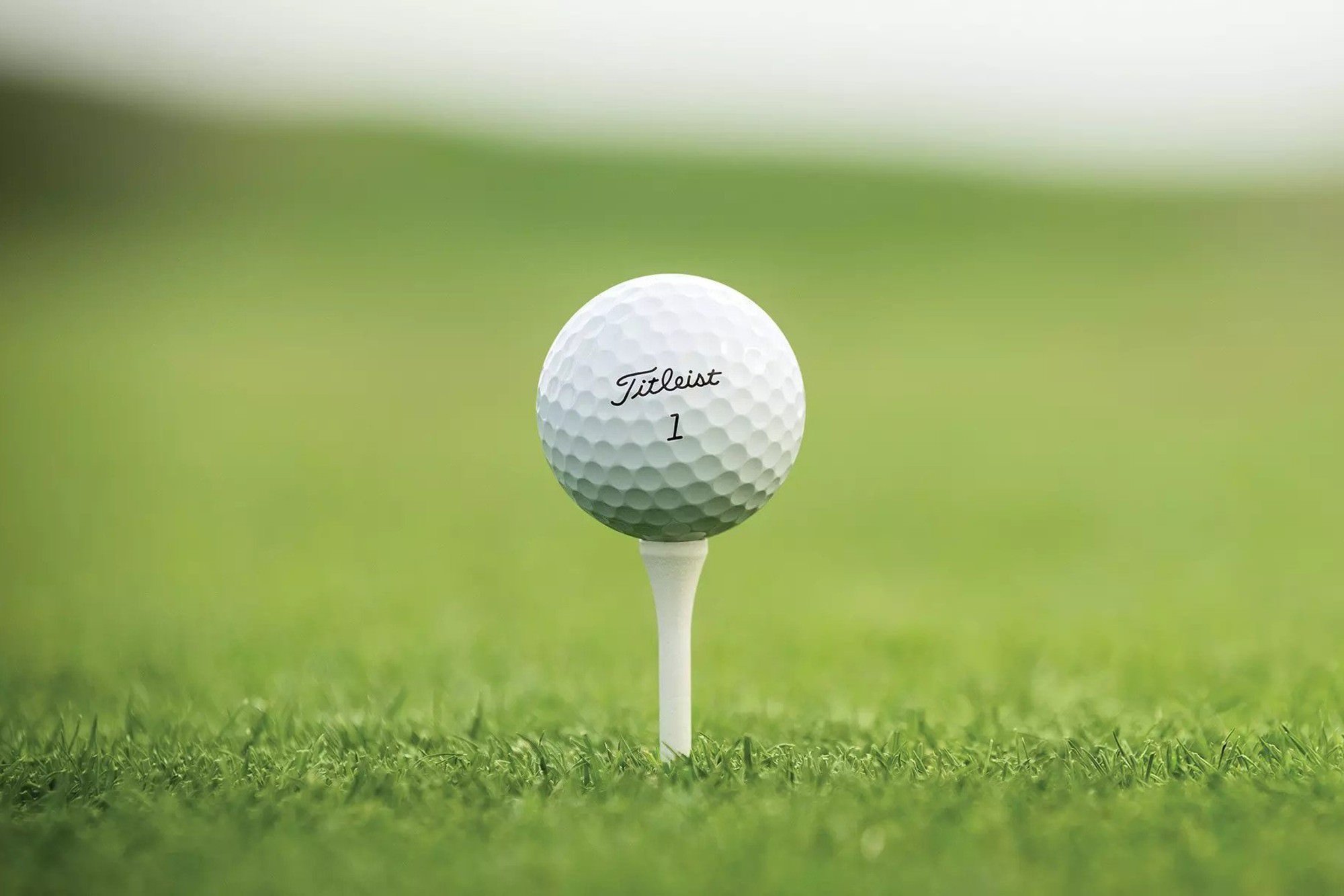 1-Ball-in-Golf-1.jpeg