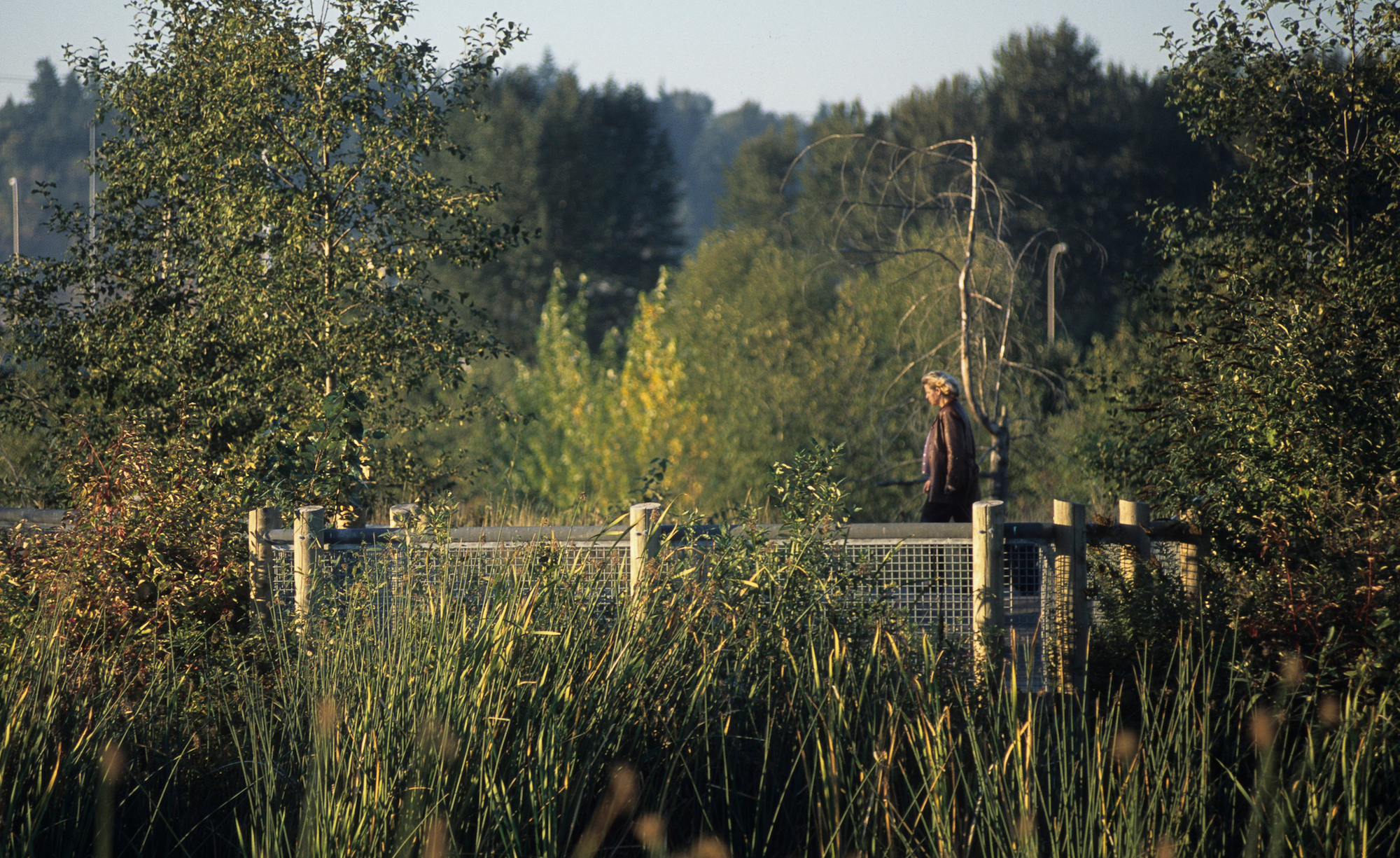 Boeing Long Acres Industrial Park_Slideshow_09.png