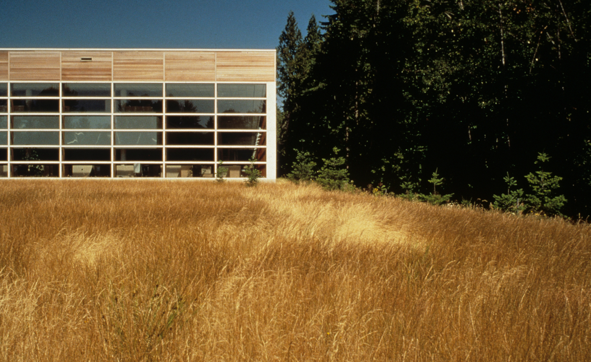 Weyerhaeuser Headquarters_Slideshow_4.png