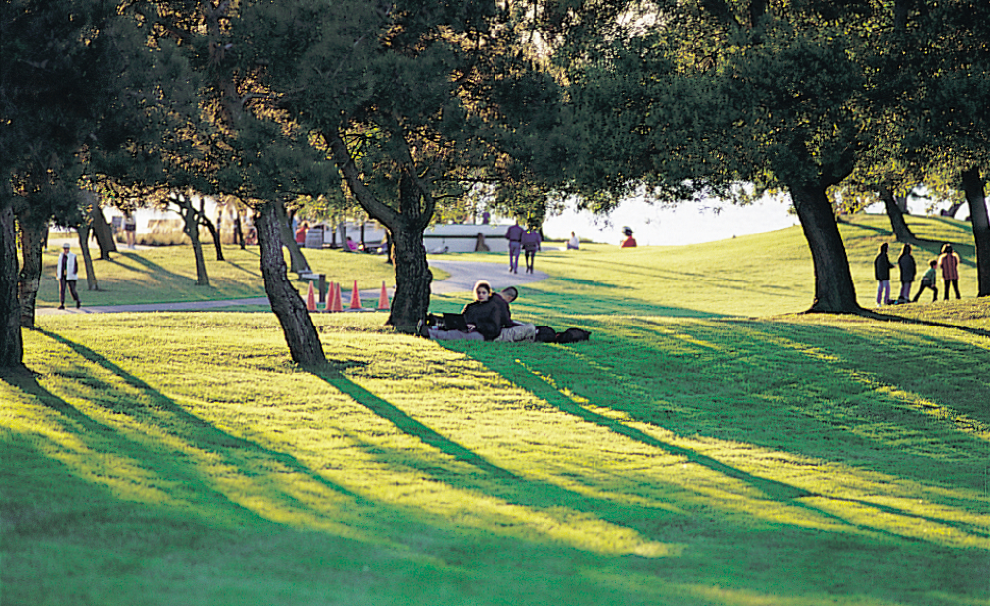 Shoreline Park_Slideshow_1.png