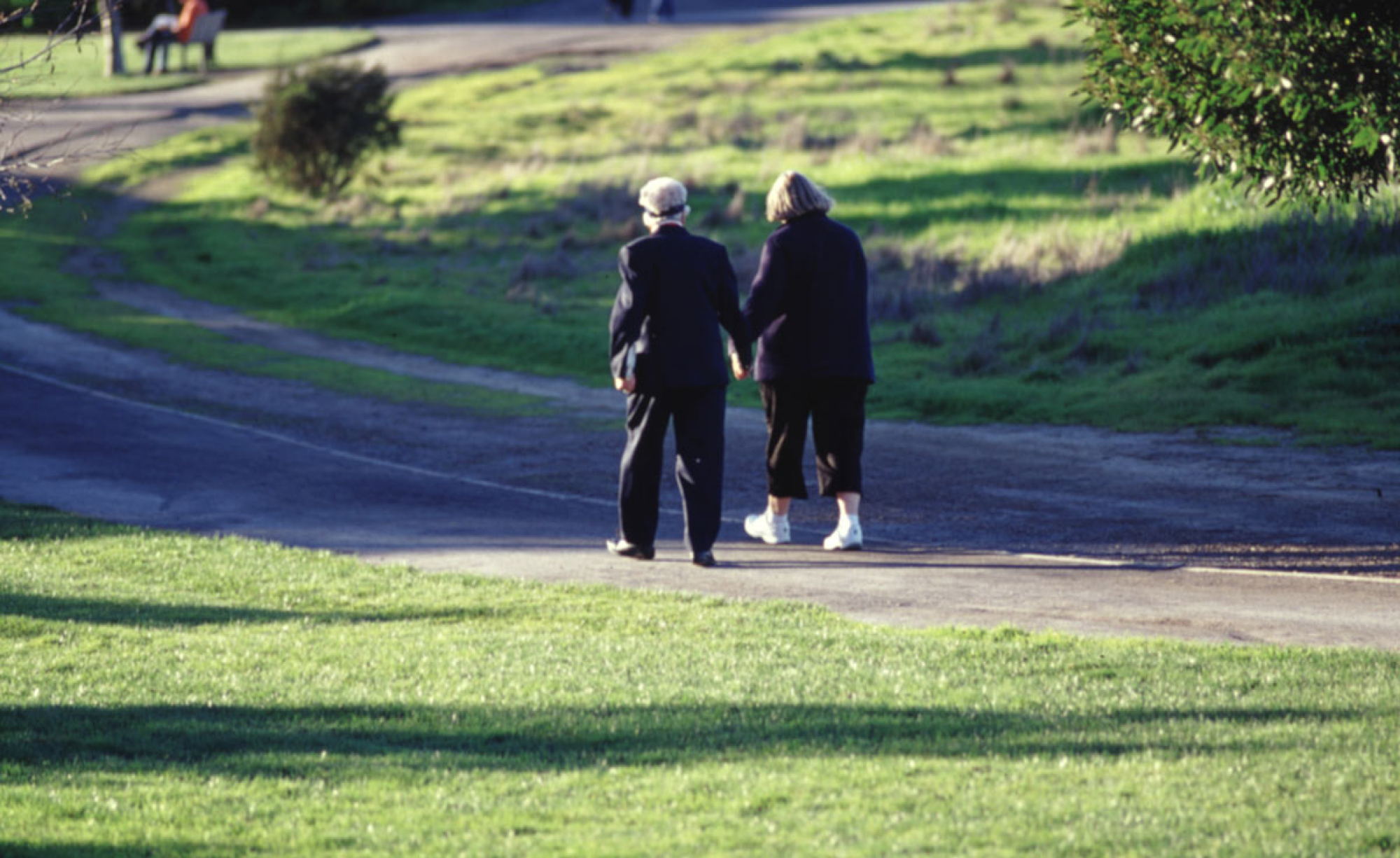 Shoreline Park_Slideshow_4.png