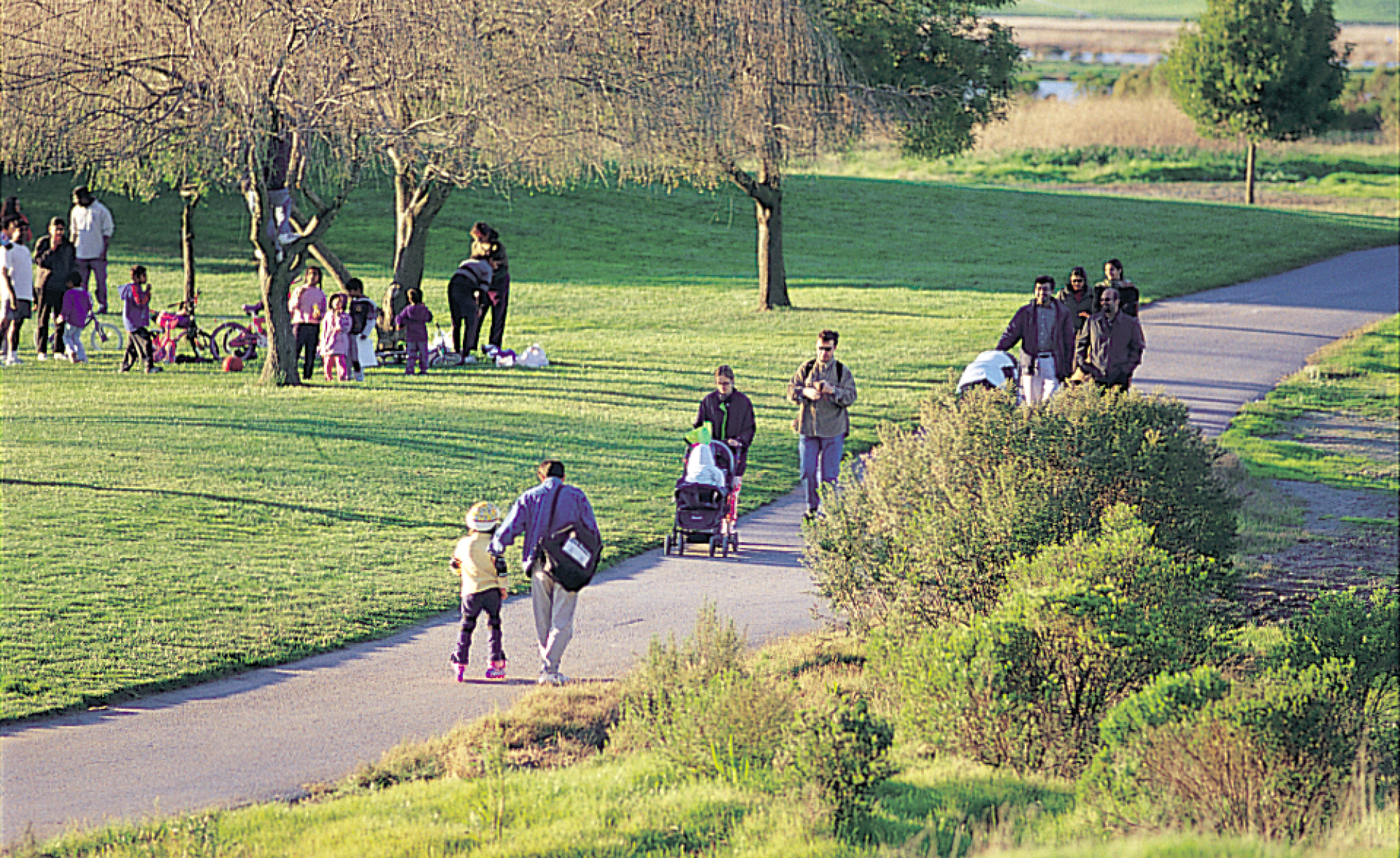 Shoreline Park_Slideshow_3.png