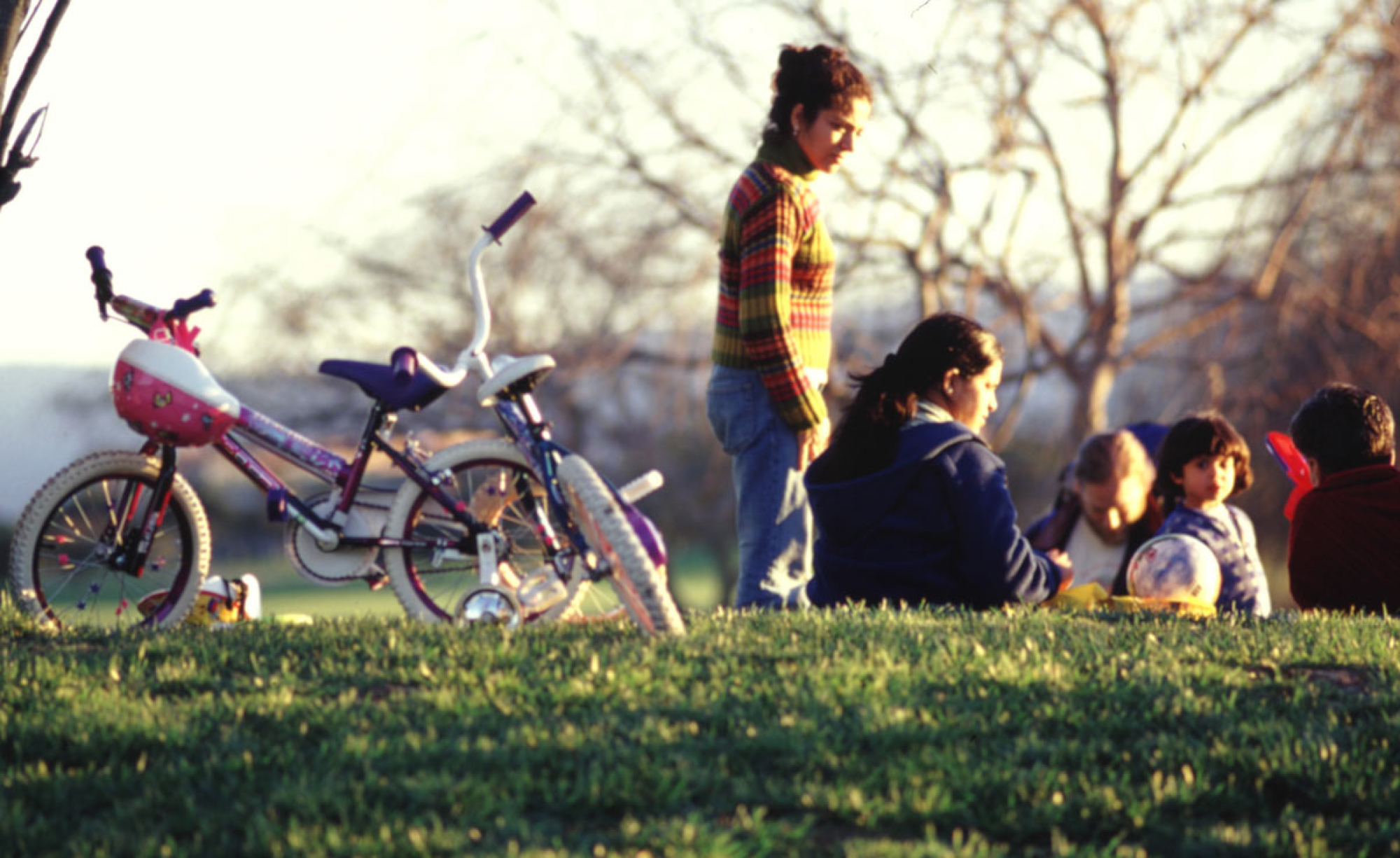 Shoreline Park_Slideshow_5.png