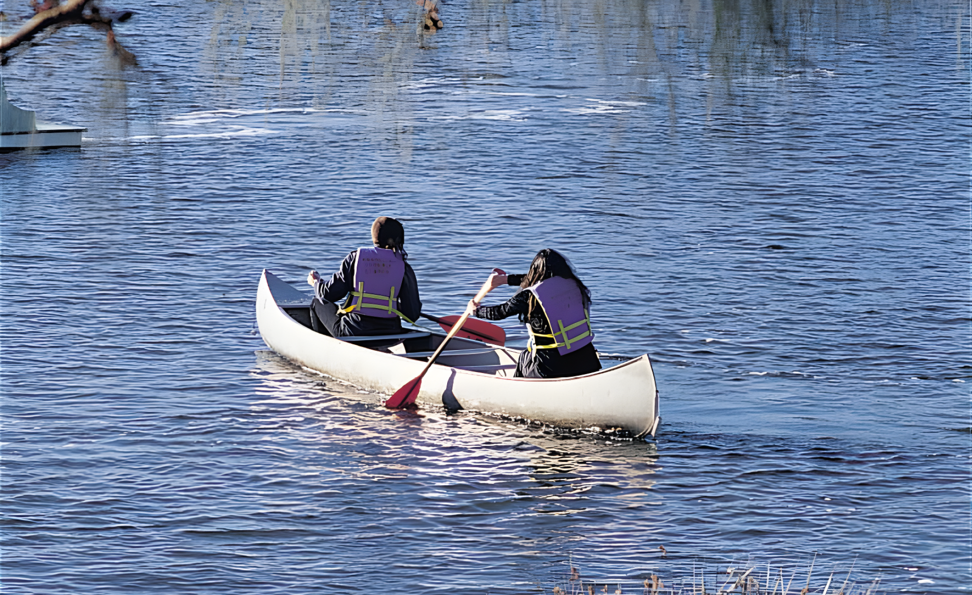 Shoreline Park_Slideshow_6.png