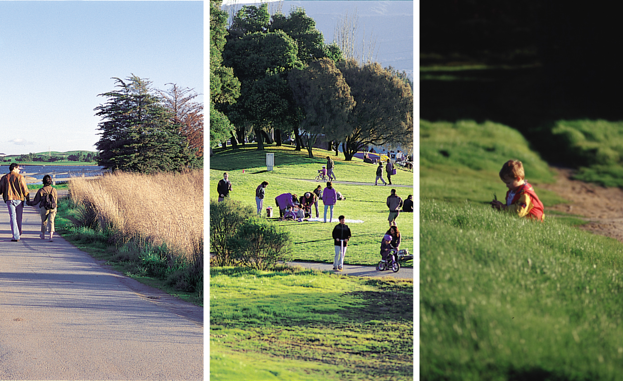 Shoreline Park_Slideshow_7.png