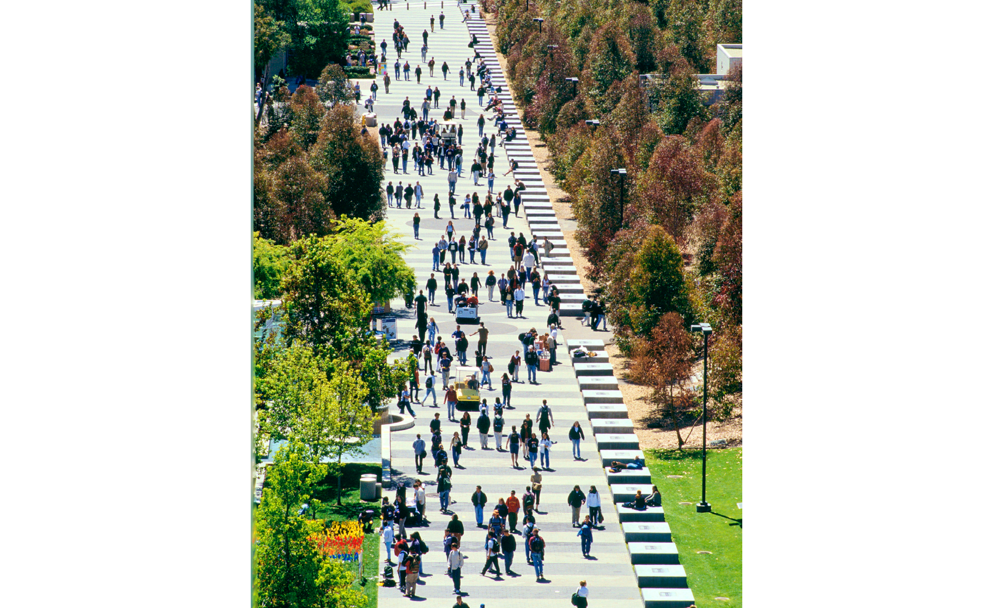 Library Walk, University of California_Slideshow_1.png