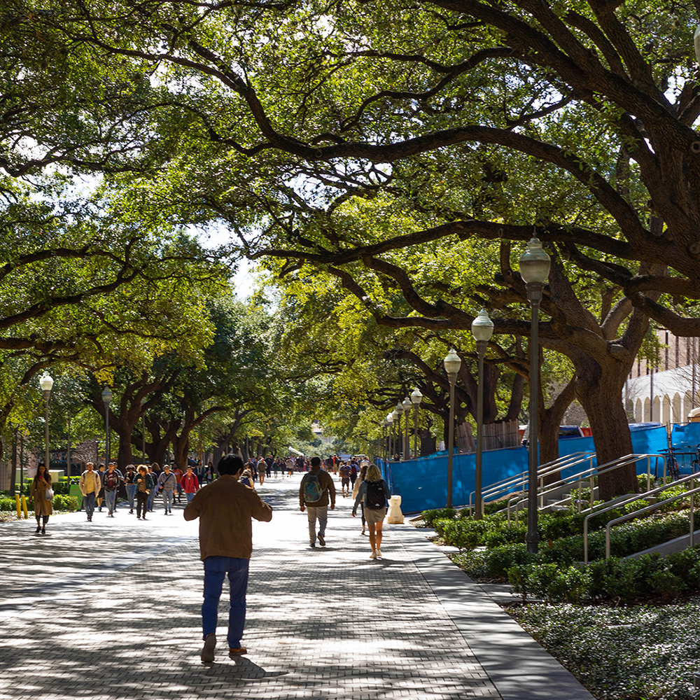 The University of Texas at Austin, Speedway Corridor and The East Mall &lt;b&gt;Austin, TX&lt;/b&gt;