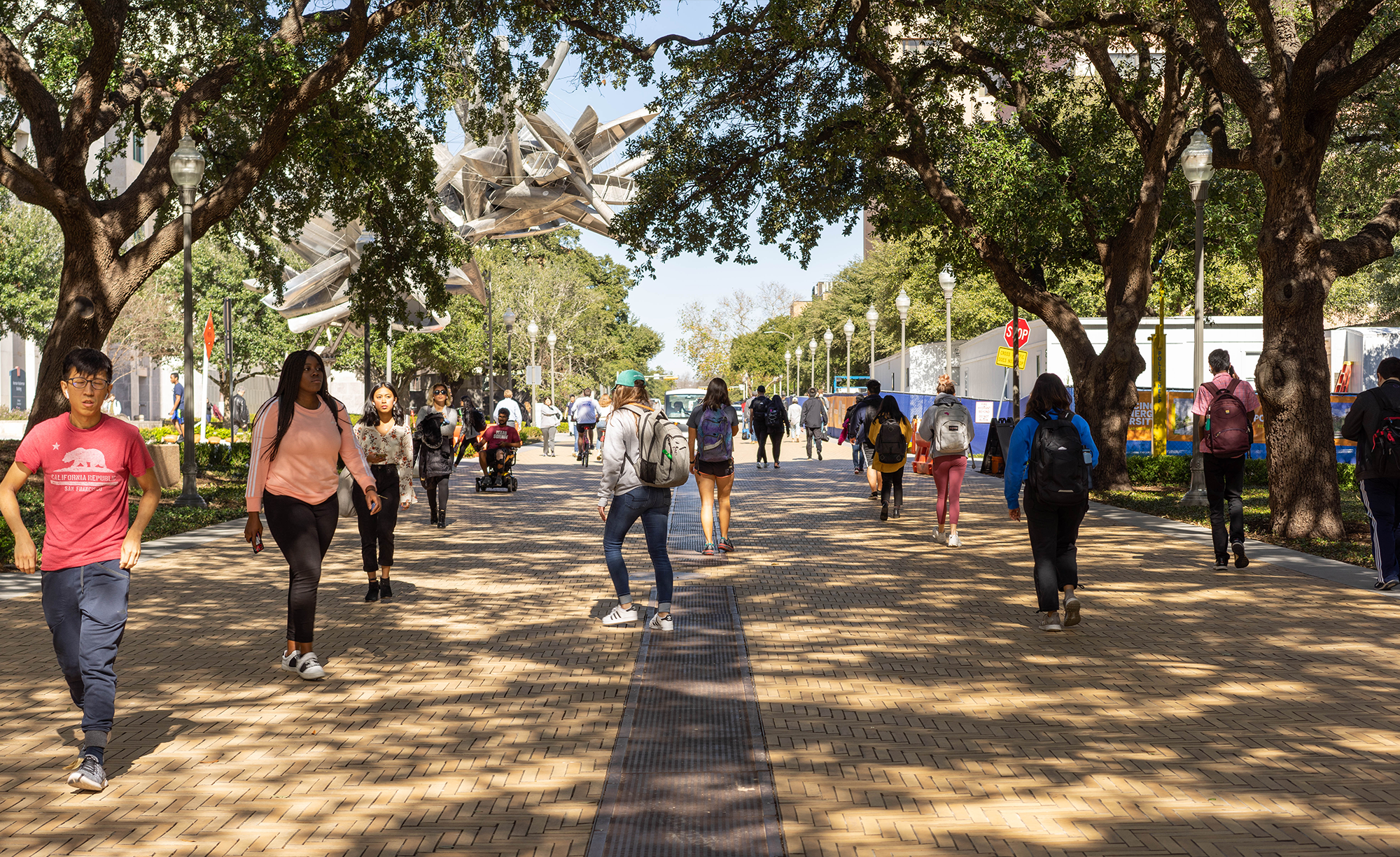 University of Texas at Austin_Slideshow_04.png