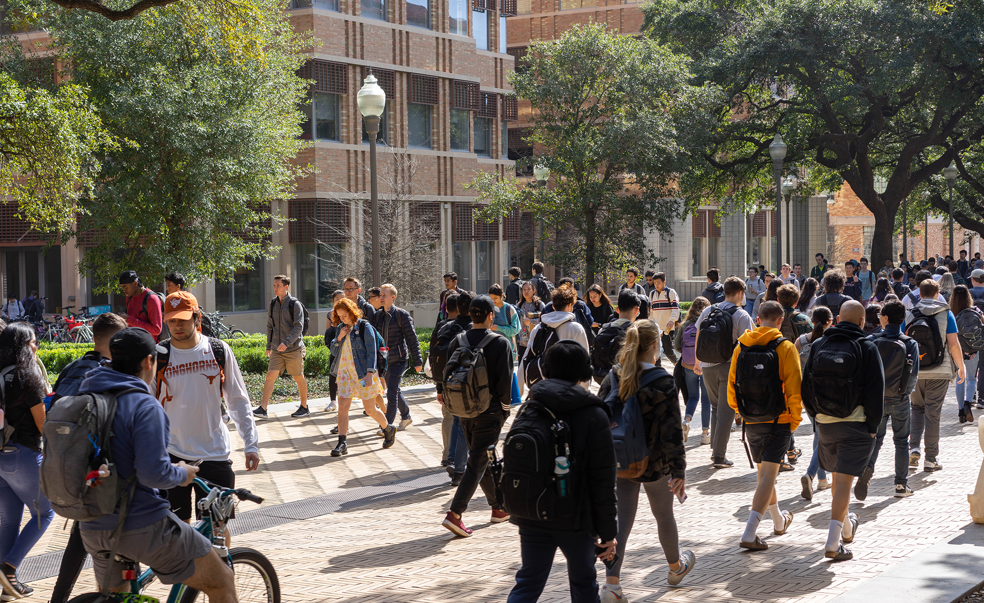 University of Texas at Austin_Slideshow_05.png