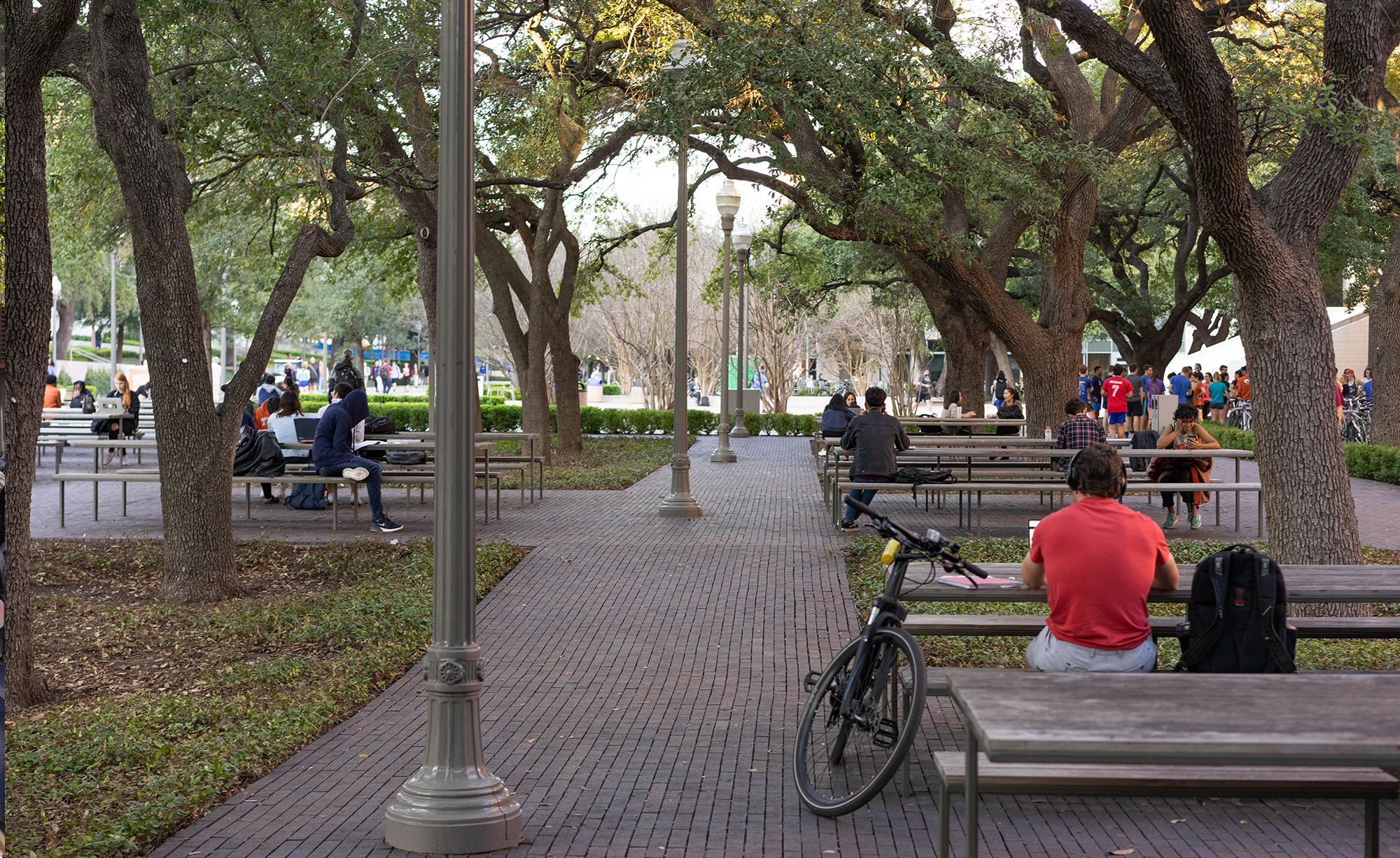 University of Texas at Austin_Slideshow_07.png