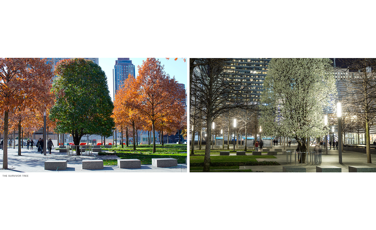 The Survivor Tree and the Glade at Ground Zero 